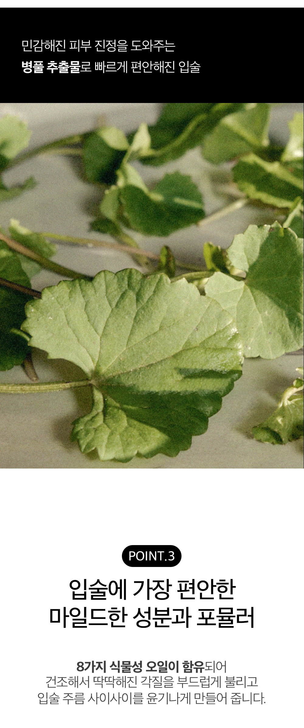 韓國 hetras Mango Seed Butter Lip Essence 1+1 Set芒果籽油修護潤唇精華 2支裝