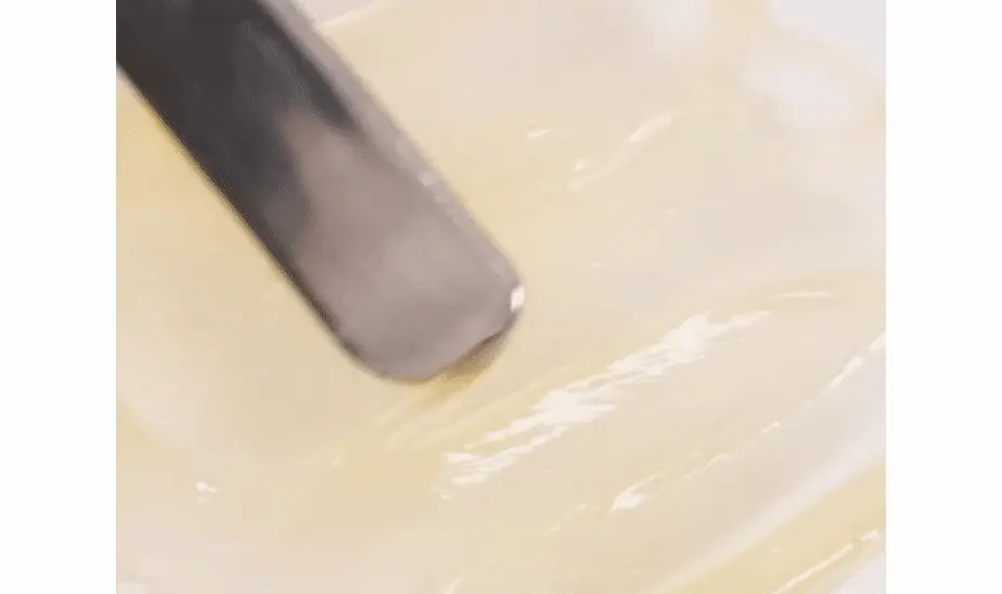 韓國 hetras Mango Seed Butter Lip Essence 1+1 Set芒果籽油修護潤唇精華 2支裝