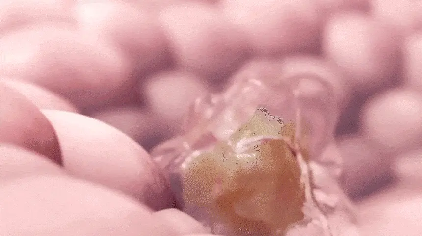 韓國大熱 AROCELL Super Collagen Mask 第3代超級膠原蛋白緊彈抗老凝膠果凍面膜4片裝 - 2種選擇