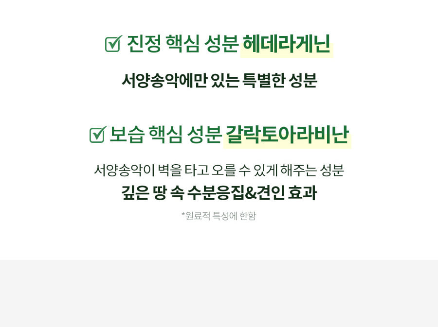 韓國 Milk Touch Hedera Helix Relaxing Cream Jumbo 💚常春藤舒緩去紅保濕純素面霜💚 - 大容量 100ml