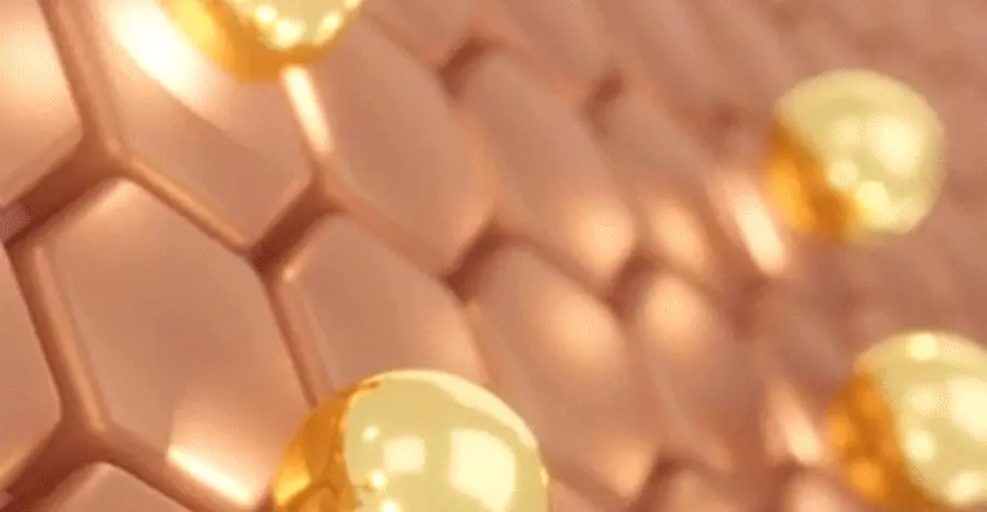 Milk Touch Wild Ginseng Gold PDRN Daily Special Mask – 30片裝