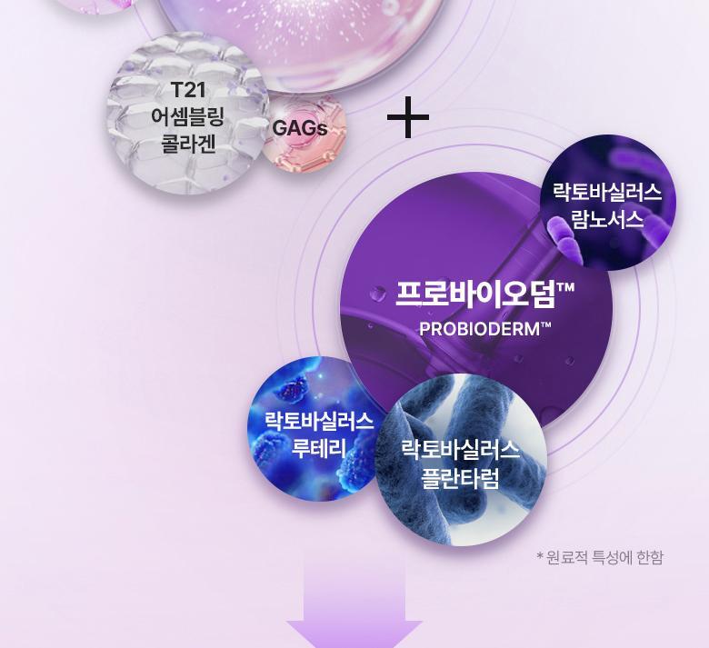 KO毛孔鬆弛下垂~韓國 BioHeal Boh Probioderm Collagen Remodeling Cream 第2代 益生菌膠原蛋白多胜肽重塑緊緻毛孔矯正膠囊面霜 50ml