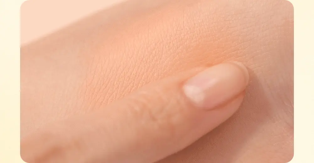 Golden Flower 系列🌼 韓國 Dasique Blending Mood Cheek 4色胭脂膏胭脂盤 - #12 Golden Flower