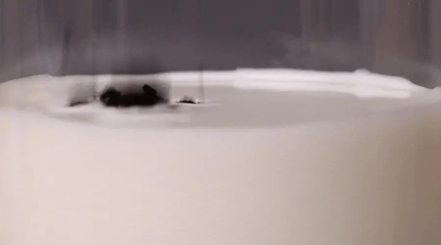 romand X INAPSQUARE 聯乘 Better Than Cheek (#B01-B03) - 3色選擇