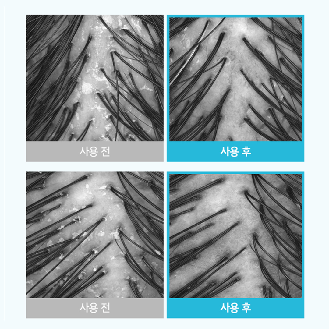 【韓國AVEDA沙龍級護髮】推介油頭!韓國 B Project Stay Fresh Cooling Shampoo 24小時持續清爽控油降溫洗髮水 - 500ml 【韓國AVEDA沙龍級護髮】推介油頭!韓國 B Project Stay Fresh Cooling Shampoo 24小時持續清爽控油降溫洗髮水 - 500ml