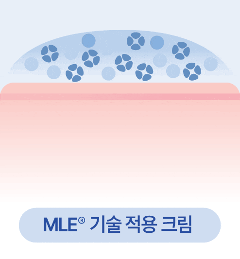 韓國 REAL BARRIER Extreme Cream Light 高效保濕修復肌膚屏障輕盈保濕面霜 - 50ml