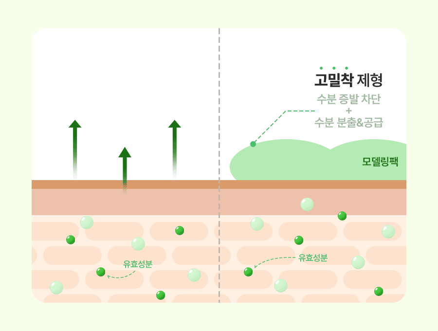 韓國 Torriden BALANCEFUL Cica Modeling Pack 5D積雪草保濕鎮靜軟膜