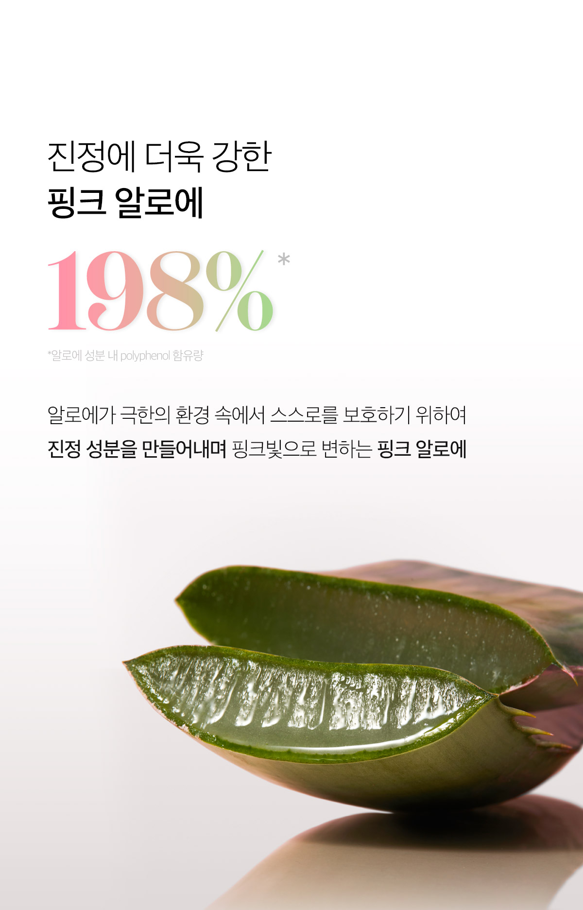 多效合1~ 韓國 April Skin Pink Aloe Pack Cleanser 粉紅蘆薈潔顏蛋白霜 120g