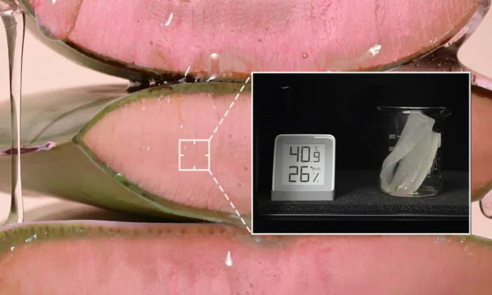 多效合1~ 韓國 April Skin Pink Aloe Pack Cleanser 粉紅蘆薈潔顏蛋白霜 120g