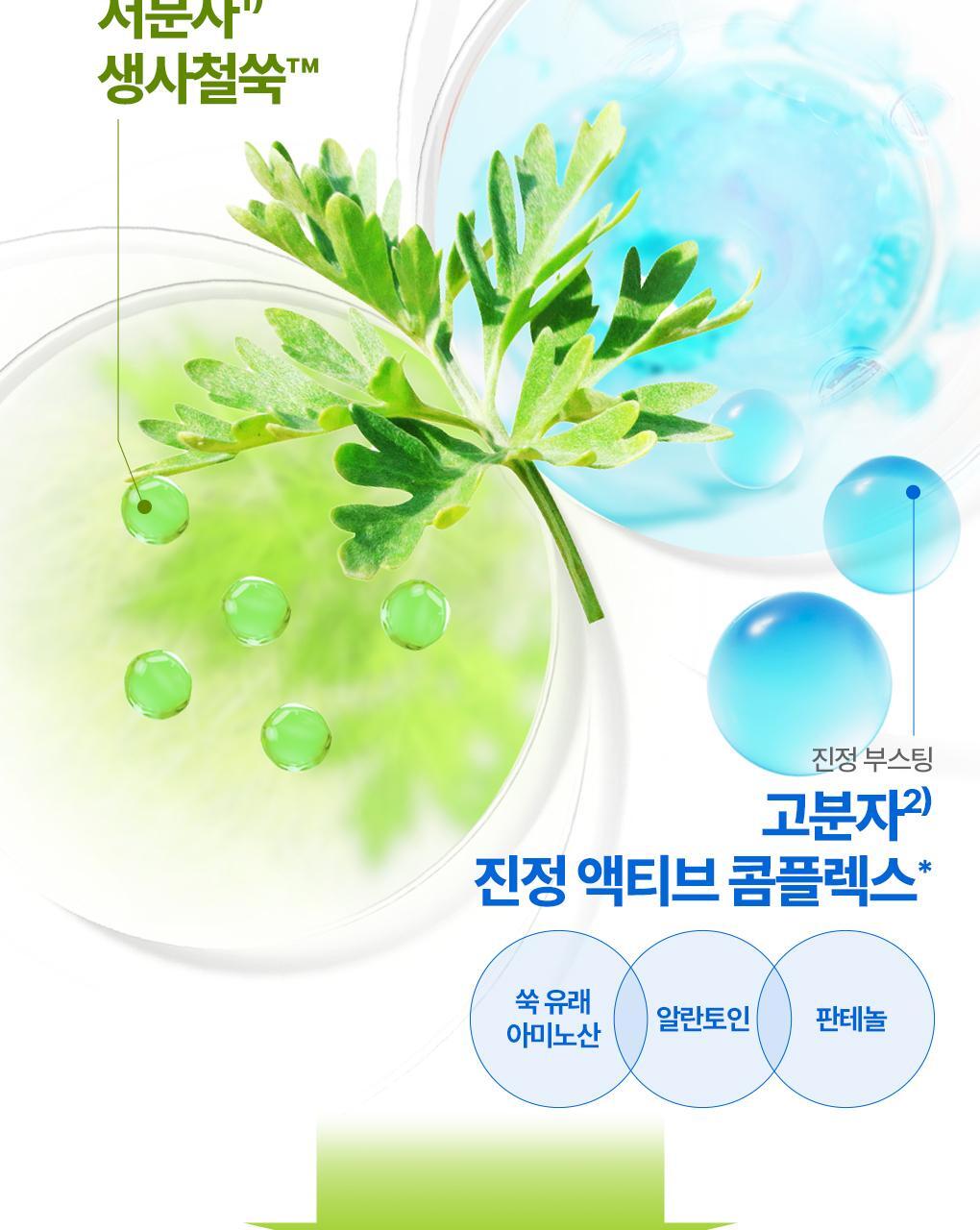 \24年新升級/ 韓國 Bring Green Artemisia Calming EX Toner Pad 茵陳蒿鎮靜保濕爽膚棉片 - 75片裝