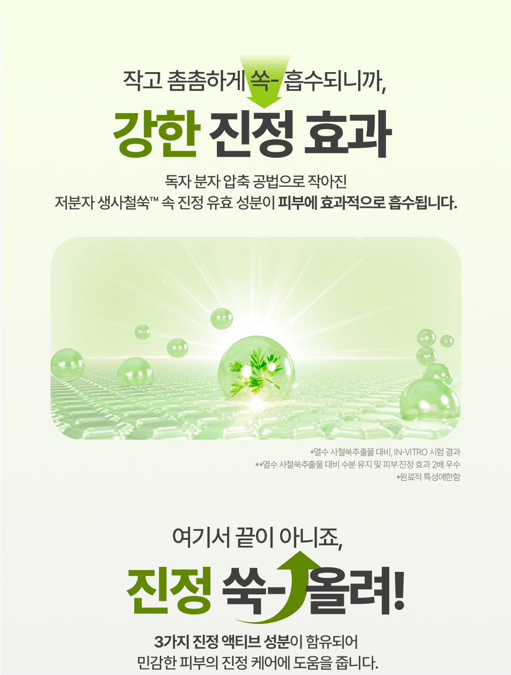 \24年新升級/ 韓國 Bring Green Artemisia Calming EX Water Cream 茵陳蒿神經醯胺鎮靜EX水凝保濕面霜 - 100ml