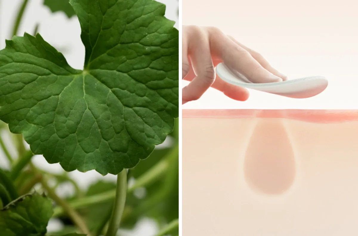 痘痘肌~韓國 medicube Exosome Cica Calming Pad 第4代高效能積雪草舒緩爽膚棉片 - 100片裝