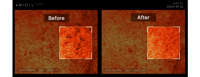 2週美白去印~韓國 medicube PDRN Pink Peptide Serum 三文魚PDRN粉紅B12胜肽膠原蛋白安瓶 - 30ml