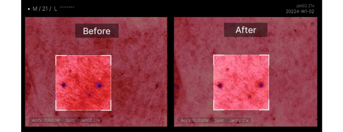 2週美白去印~韓國 medicube PDRN Pink Peptide Serum 三文魚PDRN粉紅B12胜肽膠原蛋白安瓶 - 30ml