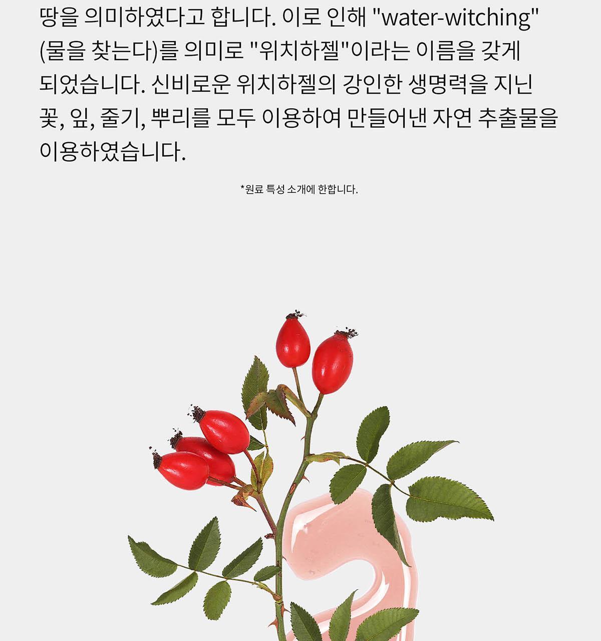 軟糯年糕潔面~韓國 Arencia Fresh Green Cleanser 天然綠茶金縷梅大米深清毛孔卸妝潔面膏 - 120g