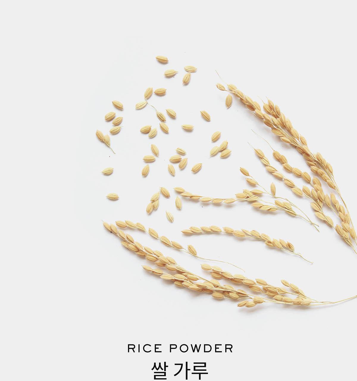 軟糯年糕潔面~韓國 Arencia Fresh Green Cleanser 天然綠茶金縷梅大米深清毛孔卸妝潔面膏 - 120g