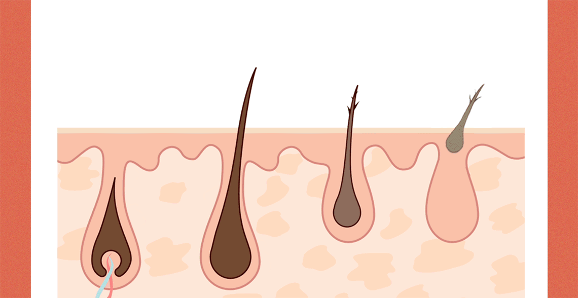 韓國 Skinfood Salmon PDRN Eyelash Serum 三文魚PDRN修護睫毛增長精華