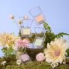 韓國 2an Pure Glash Highlighter 單色閃亮高光 - 多色選擇