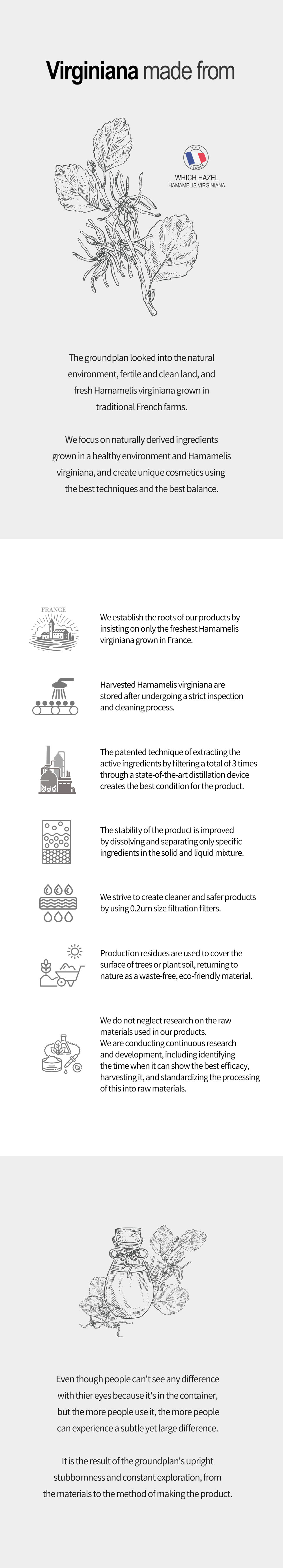 JENNIE同款～韓國 Groundplan Natural Cushion 輕透自然粉底氣墊 - 2色選擇