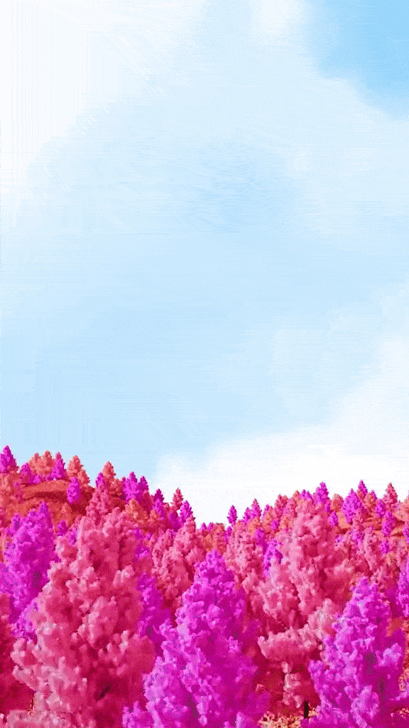 最新版【1+1優惠套裝送睫毛卸妝液】韓國 Holika Holika Lash Correcting Mascara 睫毛矯正睫毛膏+送Remover 限量Set  - 3款選擇