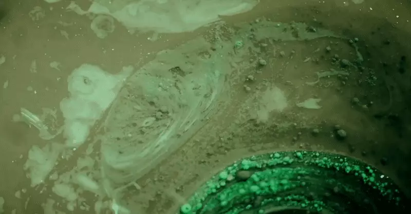 升級更新版 48.66%改善彈性~韓國Torhop Loyly Green Mud Collagen Mask 天然綠泥膠原蛋白毛孔緊緻回彈奶油泥膜 - 90g