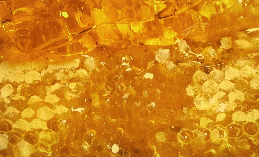 韓國 Medi Peel EGF Scaling Moisture Foot Cream 腳踭足部去角質龜裂保濕霜 130g