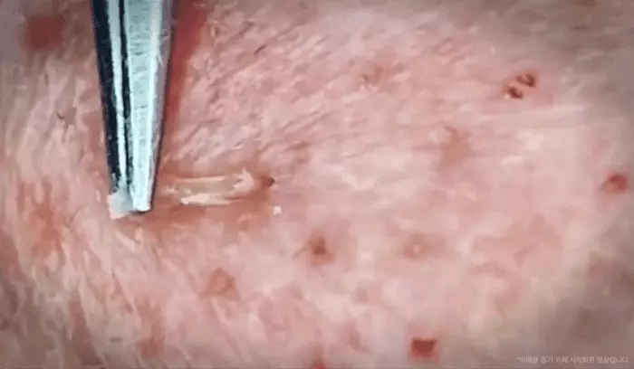 【Flash Glow限量版Set 送keyring高光棒!】 韓國 espoir Be Glow Volume Cushion 持久立體水光保濕粉底氣墊連補充裝 SPF42+ PA++++ - 4色選擇