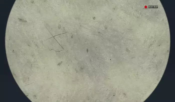 【Flash Glow限量版Set 送keyring高光棒!】 韓國 espoir Be Glow Volume Cushion 持久立體水光保濕粉底氣墊連補充裝 SPF42+ PA++++ - 4色選擇