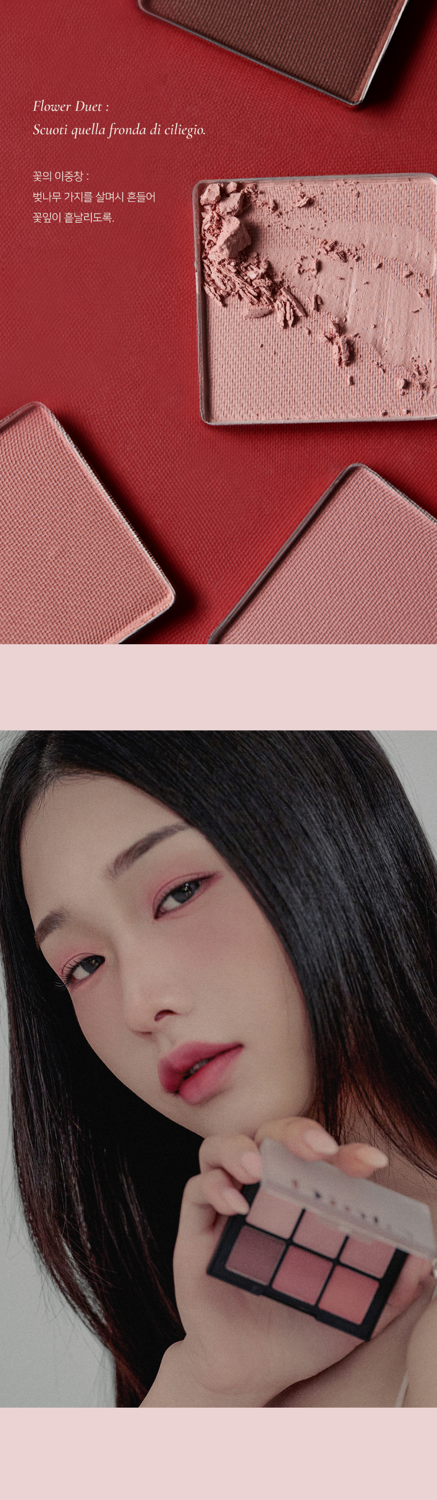 韓國 Dinto #Madame Butterfly Colleciton蝴蝶夫人系列 Blur Finish Shadow 6色全霧面眼影盤