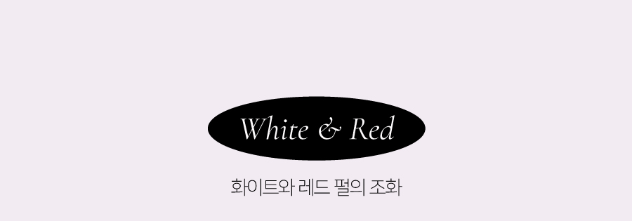 韓國小眾品牌 Dinto #Peter & Wendy Collection Pearl Kissed Plumping Lip Glacé 珠光亮彩豐盈立體唇蜜(#121-130) - 10色選擇