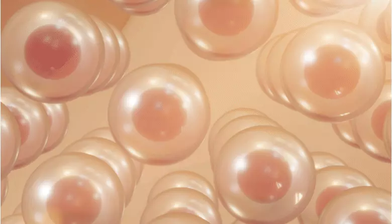 韓國 ANUA Vitamin C Niacin Tone Up Blemish Pad 維C菸鹼酸提亮淡瑕爽膚棉片 - 60片裝