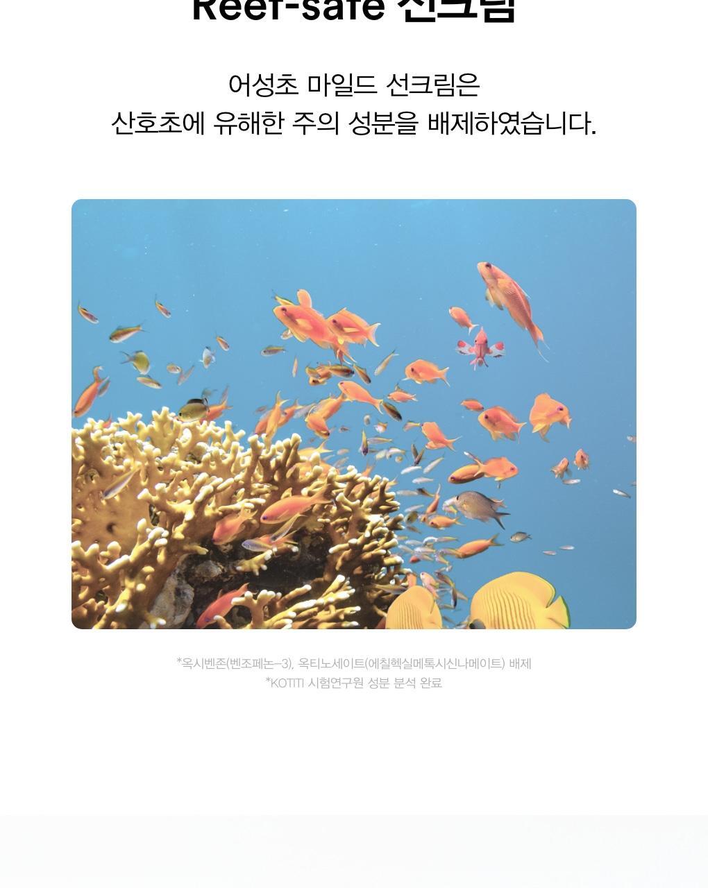 清爽低敏不泛白 抗熱刺激~韓國 ABIB Heartleaf Mild Suncreen Relief Tube SPF 50+ PA++++ 魚腥草溫和防曬 - 50ml