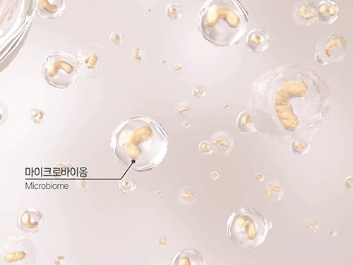 強化肌膚屏障 改善膚質~韓國 UIQ Biome Barrier Panthesive Cream 專利微生物群活性益生菌泛醇保濕面霜 - 50ml