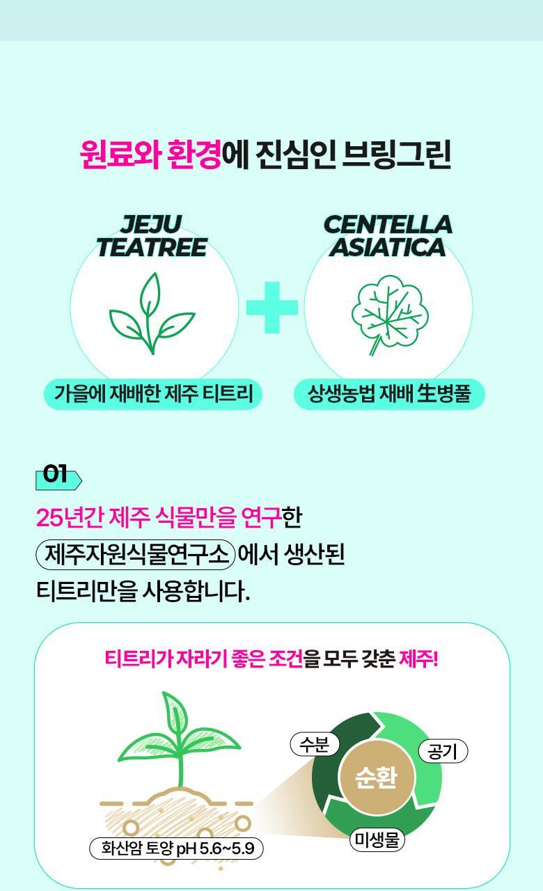 韓國 Bring Green Tea Tree CICA Soothing Sun Cream 茶樹積雪草舒緩防曬霜 - 50ml