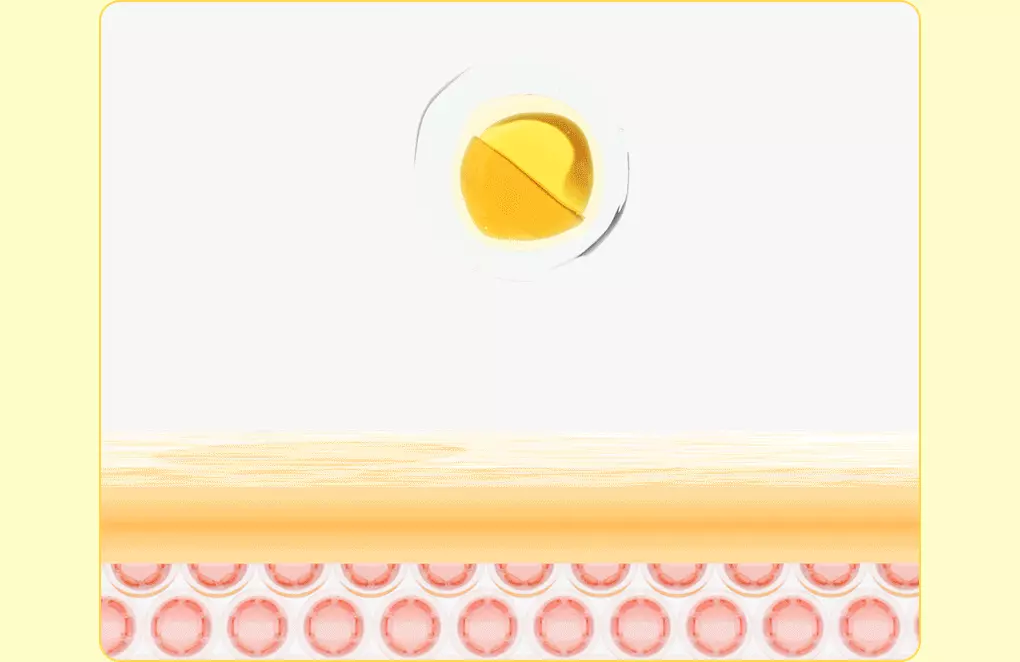 【1+1優惠Set】韓國 Bring Green Super Lemon Glutathione Tone Up Sun Cream SPF50+ PA++++🍋超級檸檬穀胱甘肽美白提亮防曬霜 - 50ml x 2