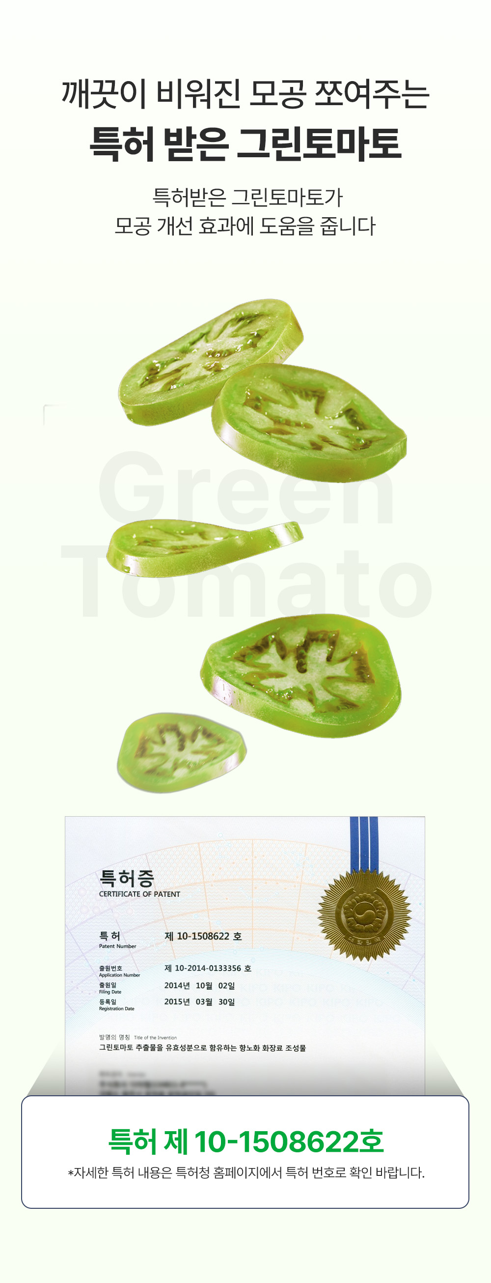 韓國 Sungboon Editor Green Tomato Deep Pore Cleansing Ultra Whipping Foam 綠番茄毛孔深層清潔控油泡泡潔面乳 - 120g