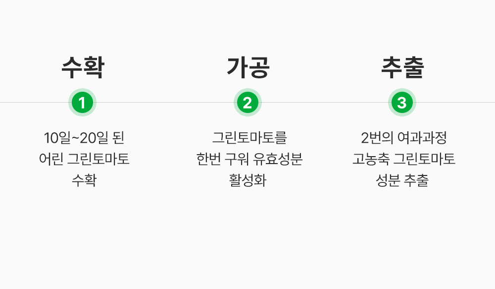 韓國 Sungboon Editor Green Tomato Deep Pore Cleansing Ultra Whipping Foam 綠番茄毛孔深層清潔控油泡泡潔面乳 - 120g