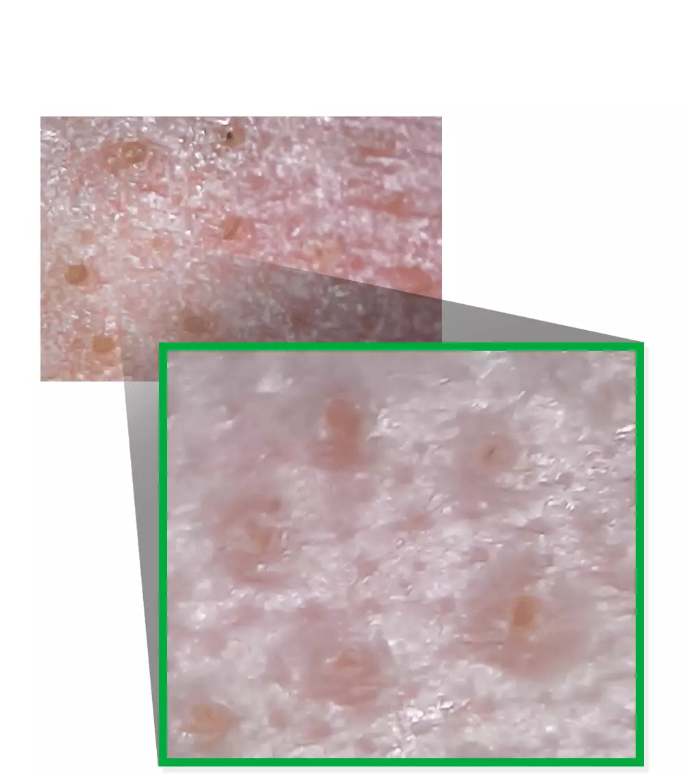 韓國 Sungboon Editor Green Tomato Deep Pore Cleansing Ultra Whipping Foam 綠番茄毛孔深層清潔控油泡泡潔面乳 - 120g