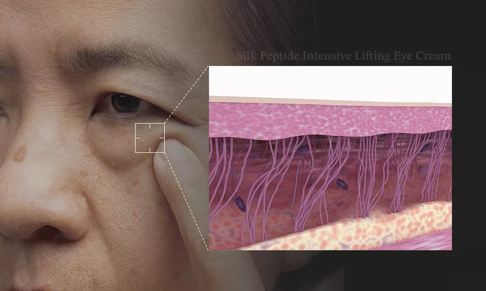 1秒賣出1瓶!眼袋凹陷、撫平眼紋、收緊眼袋~韓國 Sungboon Editor Silk Peptide Intensive Eye Cream 專業級絲蛋白幹細胞多胜肽密集修復眼霜