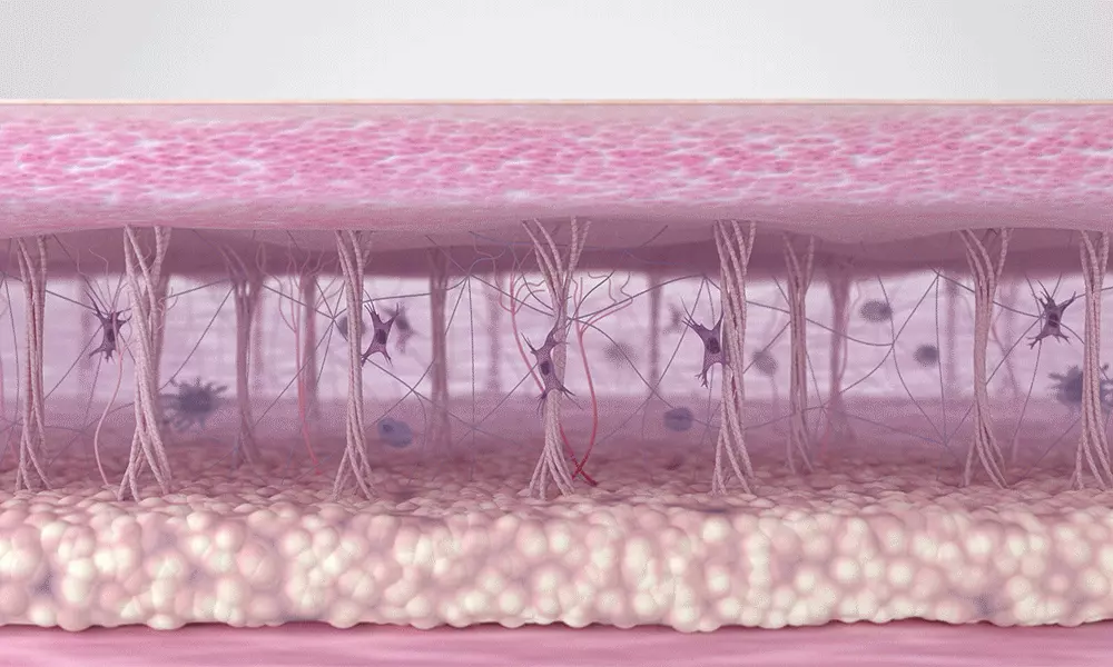 1秒賣出1瓶!眼袋凹陷、撫平眼紋、收緊眼袋~韓國 Sungboon Editor Silk Peptide Intensive Eye Cream 專業級絲蛋白幹細胞多胜肽密集修復眼霜