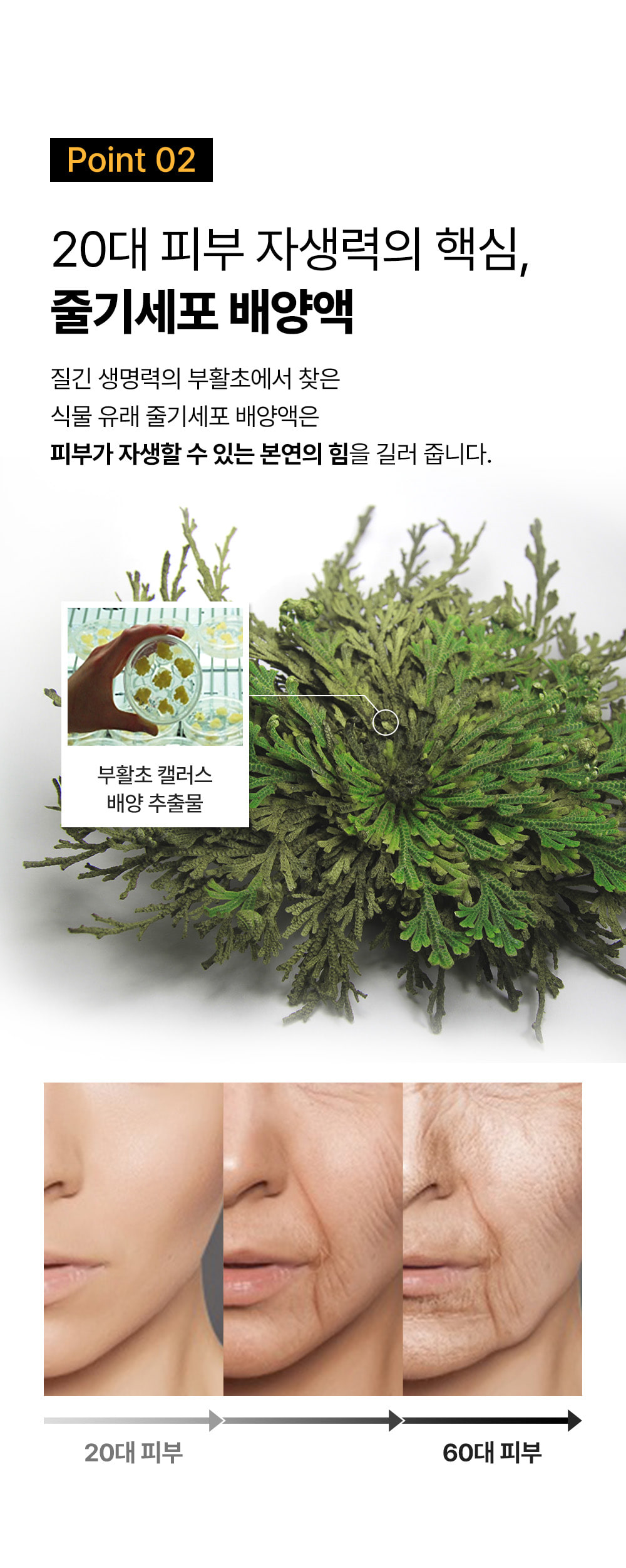 1秒賣出1瓶!眼袋凹陷、撫平眼紋、收緊眼袋~韓國 Sungboon Editor Silk Peptide Intensive Eye Cream 專業級絲蛋白幹細胞多胜肽密集修復眼霜