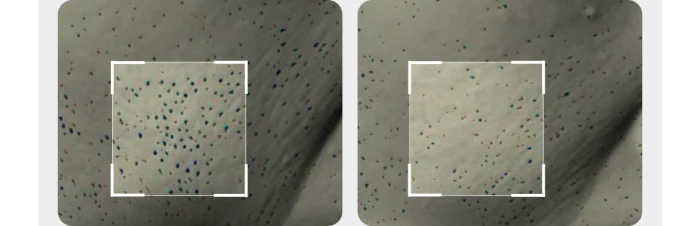 下單照價93折! 韓國 medicube Age-R Booster Pro Mini 多用途美容儀迷你版