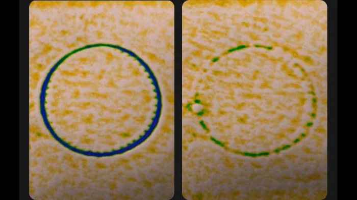 下單照價93折! 韓國 medicube Age-R Booster Pro Mini 多用途美容儀迷你版