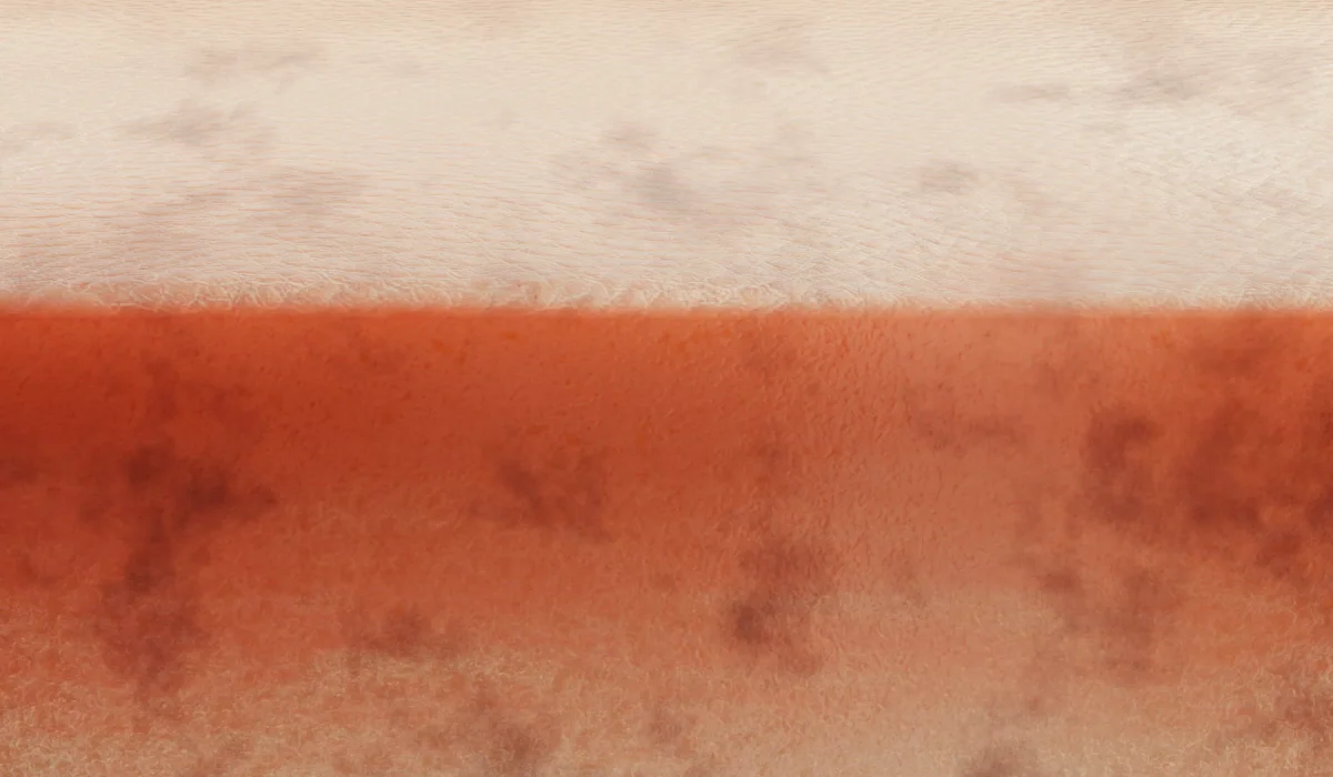 韓國 medicube PDRN Pink Collagen Toning Gel Toner Pad 99%高純度三文魚PDRN粉紅膠原蛋白凝膠果凍爽膚棉片 - 70片裝