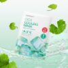 韓國 Cell Fusion C Cica Cooling Mask 積雪草舒緩冰感降溫保濕面膜 5片裝
