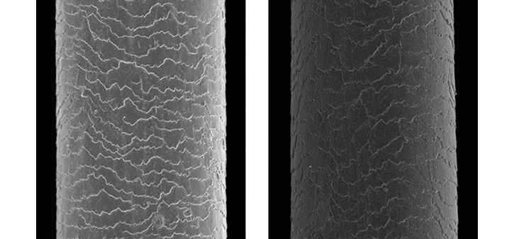 韓國 GROWUS Damage Therapy Hair Oil 雪白珍珠亮澤修護髮尾油 - 65ml