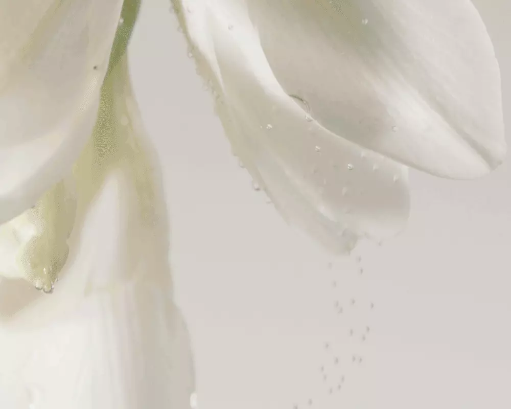 韓國 Luafee Musk de Blanc Perfume Body Wash 白麝香香氛沐浴露 - 300ml