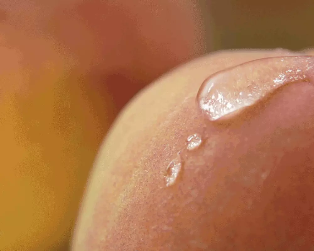 韓國 Luafee Solid Perfume White Apricot 固體香膏白杏桃果香 - 30ml