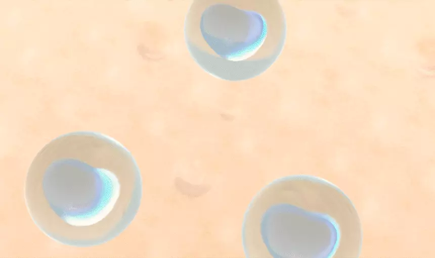 30秒毛孔好似做完飛梭咁靚 推介毛孔肌～韓國 The Tool Lab Stamp Skinfit Cushion Airy (Matte) + Brush SPF 40 PA++ 超輕盈遮毛孔自然霧面粉底氣墊連印章掃(掃套裝/補充裝) - 3色選擇