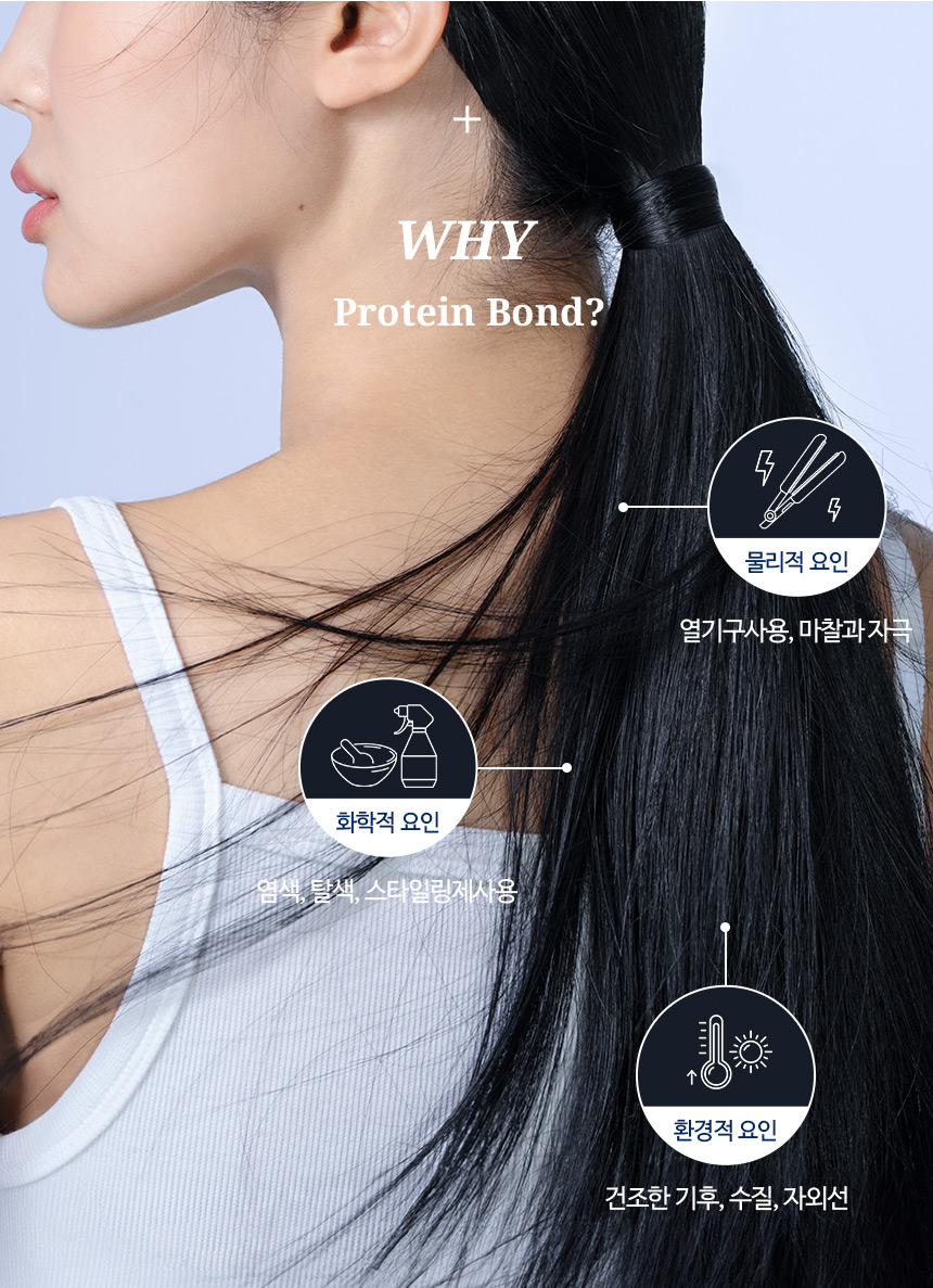 最新升級版雙倍蛋白質 韓國 HairPlus Protein Bond Ampoule Essense 高濃度蛋白質胺基酸高效免沖洗安瓶精華 - 70ml